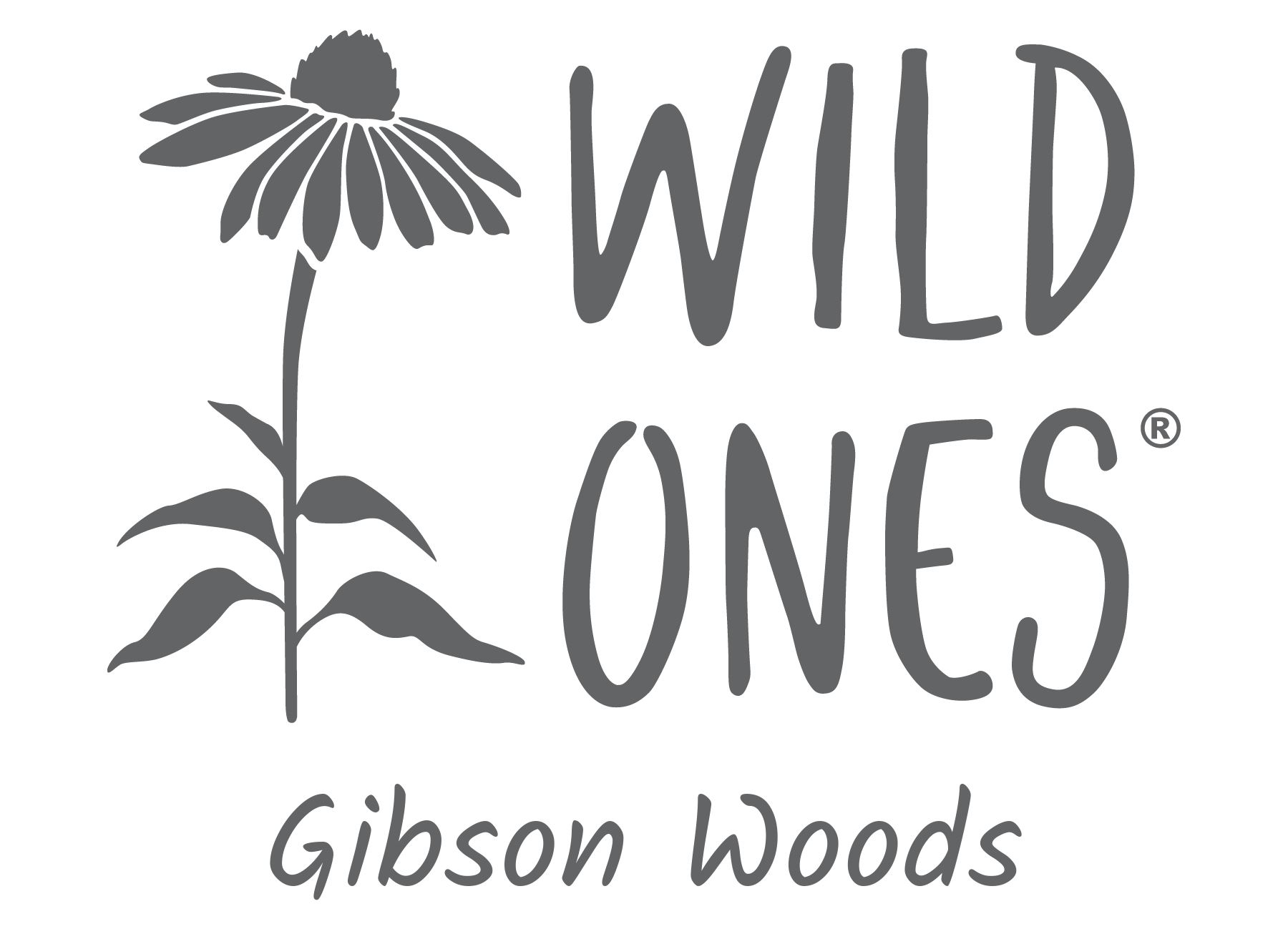 Wild-Ones-Gibson Woods Chapter-Logo 2024